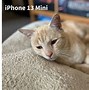 Image result for iPhone 13 Mini Features