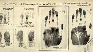 Image result for Burglary Fingerprint Woman