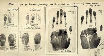 Image result for Fingerprint Identification