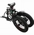 Image result for Ecotric Electric Bike Fat Boy