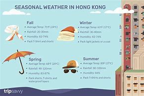 Image result for Monsoon Season Hong Kong