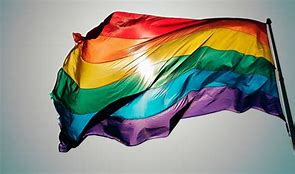 Image result for Rainbow Flag HD