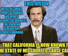 Image result for Ron Burgundy Moustache