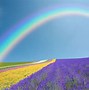 Image result for Rainbow Pics