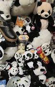 Image result for Panda Squishy Toy