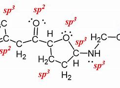 Image result for Sp SP2 SP3 Hybridization Examples