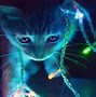 Image result for Neon Cat Background