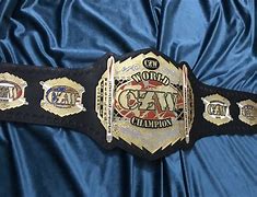 Image result for Czw Championship Belt