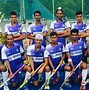 Image result for India National Sport