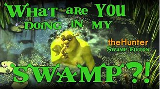 Image result for What Are You Doing in My Swamp Desktop