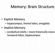 Image result for Short-Term Memory Brain