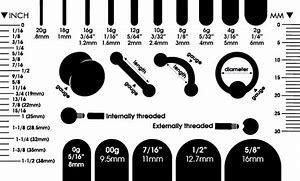Image result for Ear Gauge Size Examples