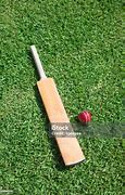 Image result for Cricket Images Bat Ball with Green Grass