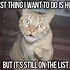 Image result for February Cat Meme