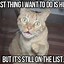 Image result for Grouchy Cat Meme