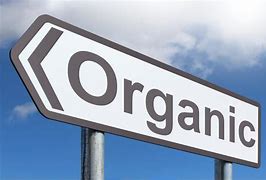Image result for Organic Food Logo