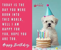 Image result for Sarcastic Teenage Birthday Wishes