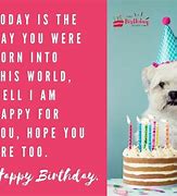 Image result for Happy Birthday Wishes Funny Sarcastic
