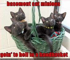Image result for Basement Cat Minions Meme