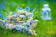 Image result for Summer Flowers Phone Wallpapers