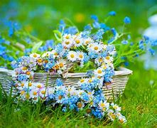 Image result for Summer Flowers Wallpaper HD