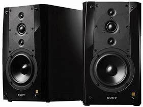 Image result for Sony SS TS8