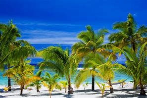 Image result for Beach Stock Photography