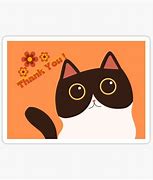 Image result for Thank You Cat Meme Funny