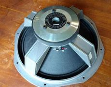Image result for Peavey Scorpion 15 Inch Speakers