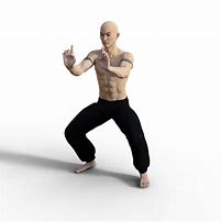 Image result for Shaolin Iron Tiger Kung Fu Forms