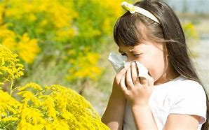 Image result for Girl Allergies Kids