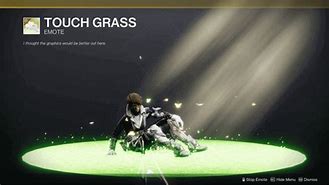 Image result for The Touch of Grass Ability in Destiny 2 Meme