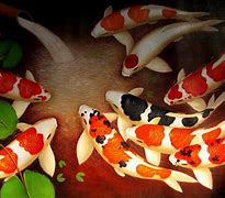 Image result for Koi Wallpaper 4K