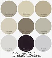 Image result for Paun Colors