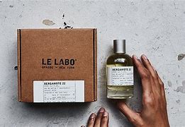 Image result for cuadfis�labo