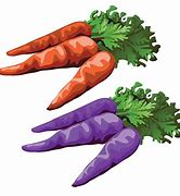 Image result for Purple Carrot Cartoon