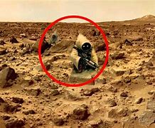 Image result for NASA Found Life On Mars
