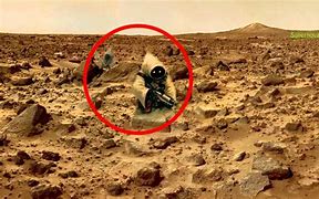 Image result for Living Things On Mars