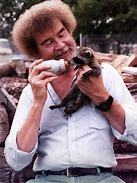 Image result for Bob Ross Baby Raccoon