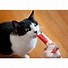 Image result for Squeze Out Cat Treats