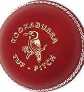 Image result for Cricket Olympics