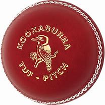 Image result for Cricket Bat Ball