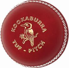 Image result for Cricket Cup Poster