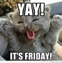 Image result for Happy Fun Friday Meme