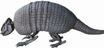 Image result for Armadillo Titan