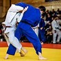 Image result for Martial Arts Types