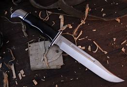 Image result for Buck 120 Bowie Knife