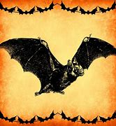 Image result for Antique Bat Illustration