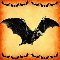 Image result for Rubber Bat Toy