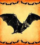 Image result for Vintage Bat Images